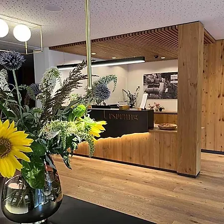 Ursprung Aparthotel